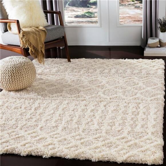 Moroccan Shag Area Rug, 5'3" x 7'3", Beige - Picture 1 of 7